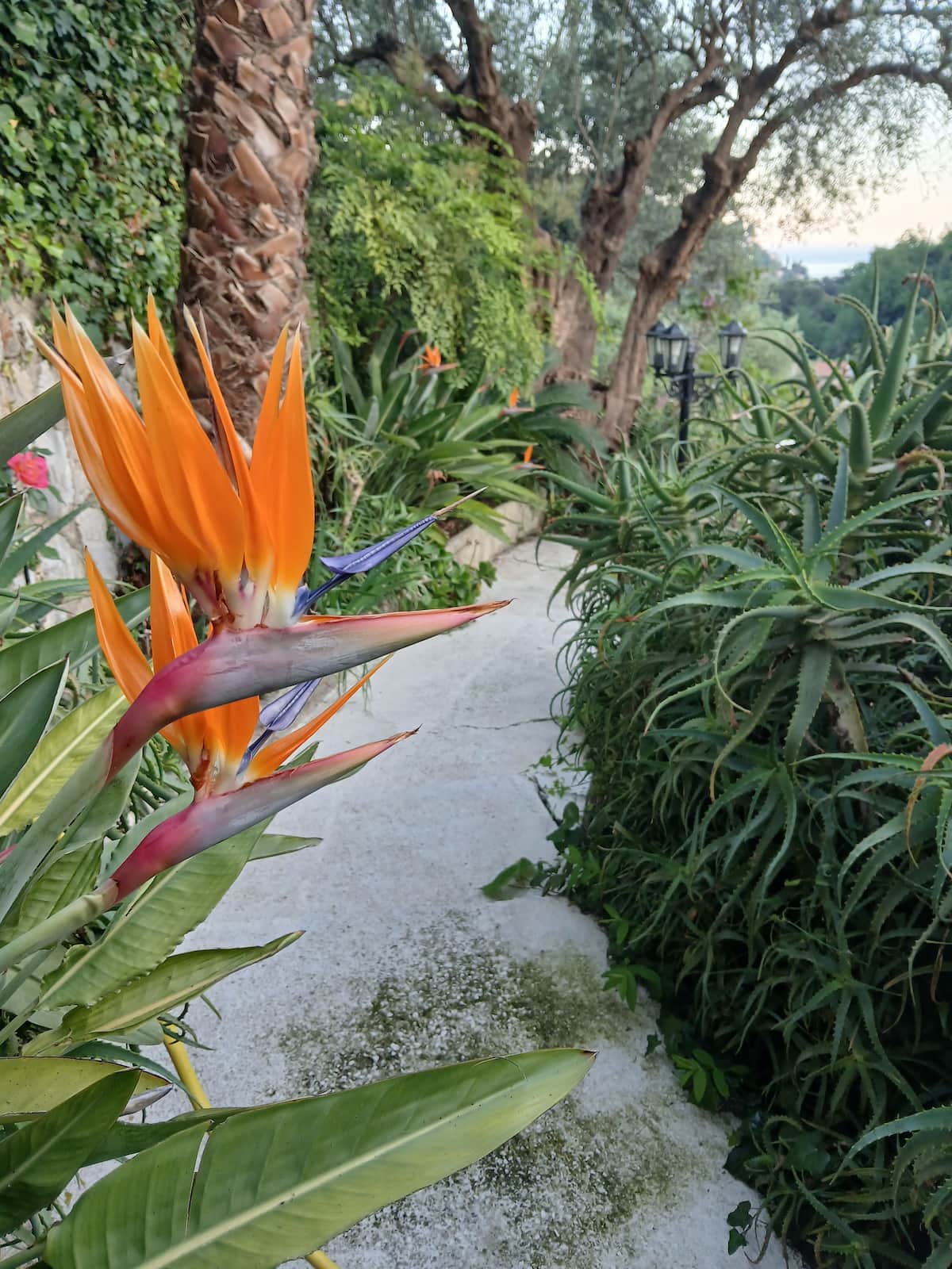 Villa image 13