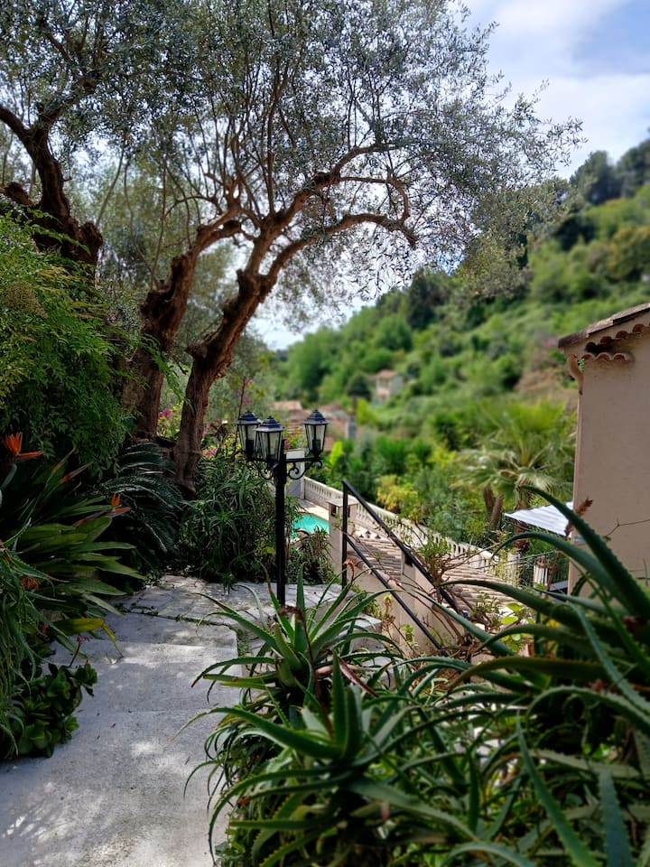 Villa image 4