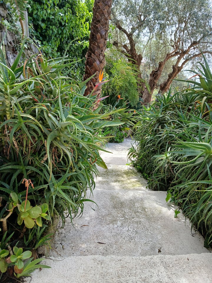 Villa image 11